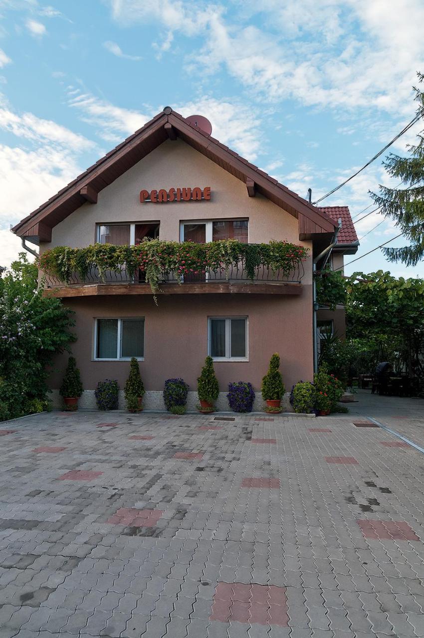 Pensiunea Miorita Arad Exterior photo