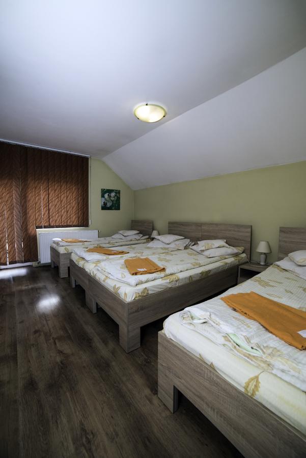 Pensiunea Miorita Arad Exterior photo